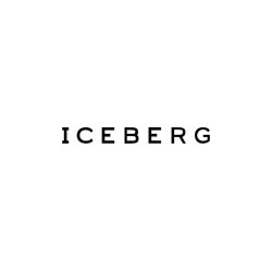 Iceberg